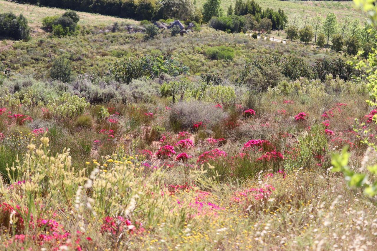 Highlands Eco Estate Ξενοδοχείο Piketberg Εξωτερικό φωτογραφία