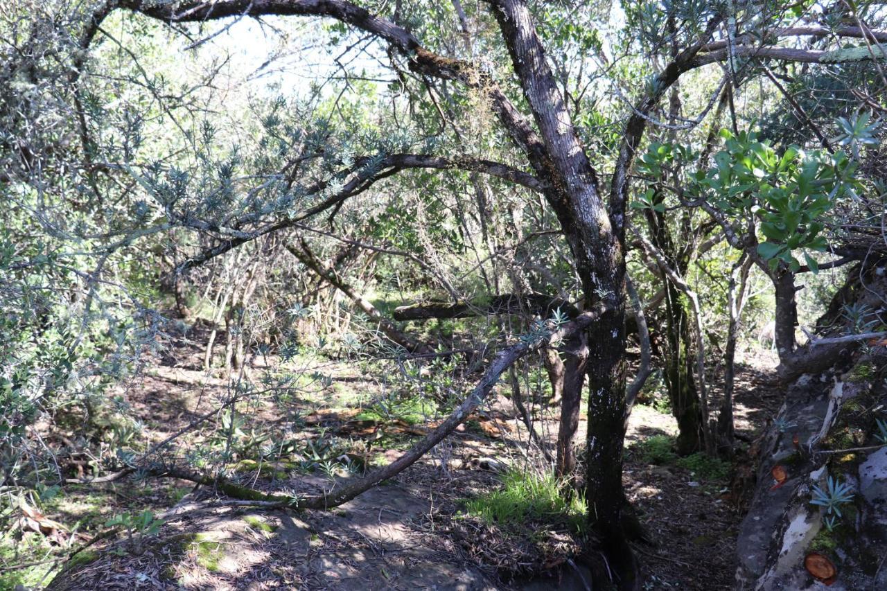 Highlands Eco Estate Ξενοδοχείο Piketberg Εξωτερικό φωτογραφία
